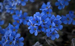 既能靠脸吃饭，又能靠才华出人头地，颜值与实力并存的四大星座