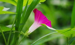 聪明过人，最难被算计的三个星座，堪称人精