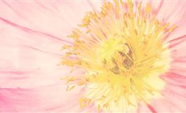 神叨酱心灵疗愈指引2022年4月30日