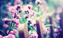 5月容易恋爱脑的星座TOP5