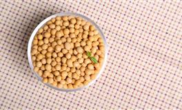 艾菲尔2022年5月星座运势