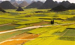 羲邑师姐生肖猴一周运势(5.9-5.15)