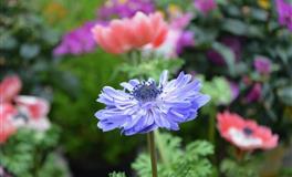 男人要警惕！十二星座女【对你失望】的征兆