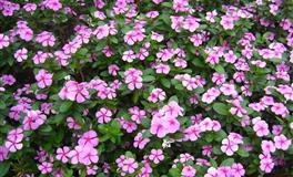 神叨酱心灵疗愈指引2022年5月20日