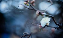 苏珊米勒每日运势2022年5月2日