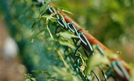 苏珊米勒每日运势2022年5月23日