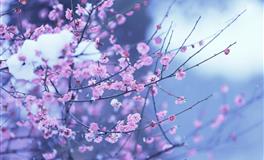 杨清华12生肖一周运势（5.2-5.8）