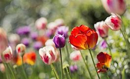 闹闹女巫店天秤座一周运势(5.30-6.5)