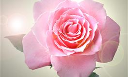 Kiddo双鱼座一周运势（5.2-5.8）