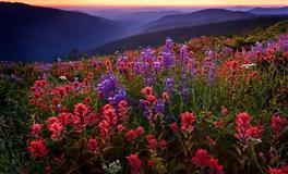 闹闹女巫店2022年5月星座运势