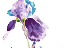 2022年5月财富榜，这几个星座准备接好运吧！