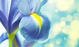 竹猫星球处女座一周塔罗运势（5.2-5.8）