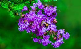 最会搞副业的几大星座，玩着玩着就发财了