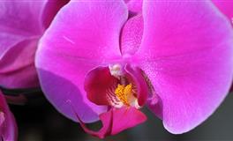 苏珊米勒每日运势2022年5月12日