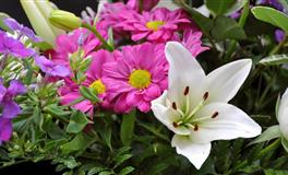 12星座最讨厌自己什么？夜深人静总自我怀疑