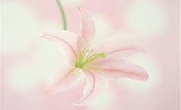 羲邑师姐12生肖一周运势(5.23-5.29)