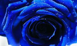 Lunita占星之旅处女座一周运势(5.2-5.8)