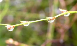 神叨酱心灵疗愈指引2022年5月30日