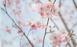 苏珊米勒每日运势2022年6月21日