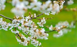 十二星座半年运势大盘点  这两个星座需要学会建立边界感