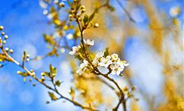 揭秘12生肖男的外遇类型，慎点