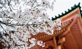 你内心深处正在找寻怎样的恋人？