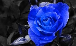 小心破财！六月【花钱如流水】星座大点名