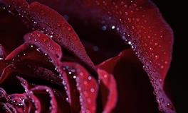 娜迪亚处女座本周运势（6.13–6.19）