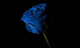 苏珊米勒每日运势2022年6月10日