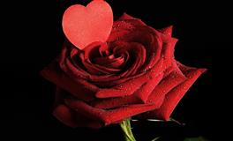 和白羊座合得来的人，有你么？