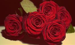 职场中有霸气，有领导能力，带领大家一起向前冲的三大星座