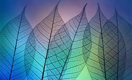 喜欢低调，做事小心谨慎的三个生肖