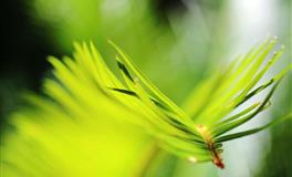 星座女神金牛座一周运势(6.20-6.26)