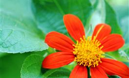 2022下半年「贵人降临」星座有谁？