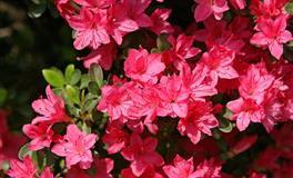 杀破狼巨蟹座一周运势(6.13-6.19)