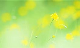 哪些星座对自己的品味坚信不疑？