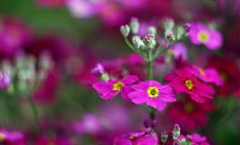 名副其实工作狂，为了工作可以忘记吃饭的四个星座，有你吗？