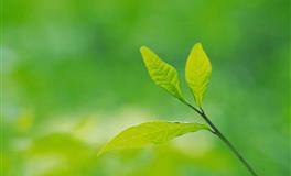 花甜巨蟹座2022年7月运势