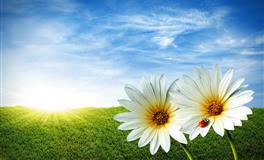 天生暴脾气，一言不合就发火的三个星座，惹不起！