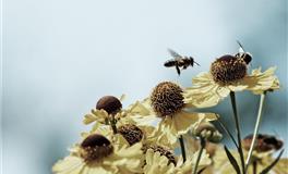 被幸运星笼罩，人生路上顺风顺水的三大星座，注定一生幸福