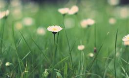 哪些星座的人喜欢在恋爱中给自己制造机会