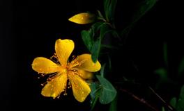 重大好消息！下半年复合率最高星座TOP3