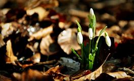 7月喜事不断，顺利翻身的3大主星