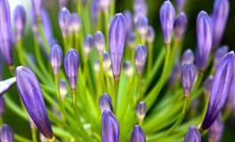 性格太优秀了，很容易被嫉妒的星座