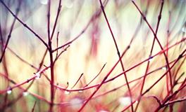 苏珊米勒每日运势2022年6月29日