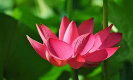 防备心很强的4个星座，只对爱人敞开心扉