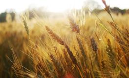 喜欢啃老的三个星座，在家无所事事，什么都靠父母