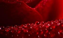 苏珊米勒每日运势2022年6月30日