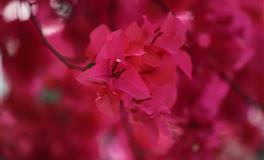 2022年7月财运上涨和下跌最狠的属相都是谁？