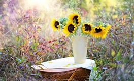 如何跟金牛座谈恋爱